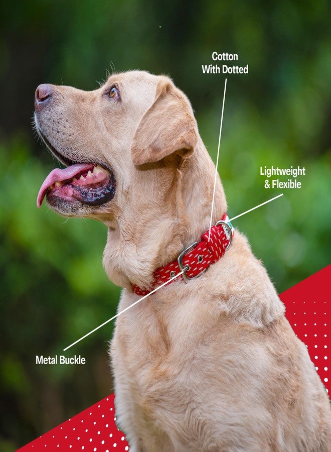 ADIL's Adjustable Beige Dotted Dog Collar For Small, Medium & Large Dogs-Strong D-Ring, Metal Buckle, Pet Collars, Red-Sizes: S,?35.56 cm,W_2.54 cm - Image 2